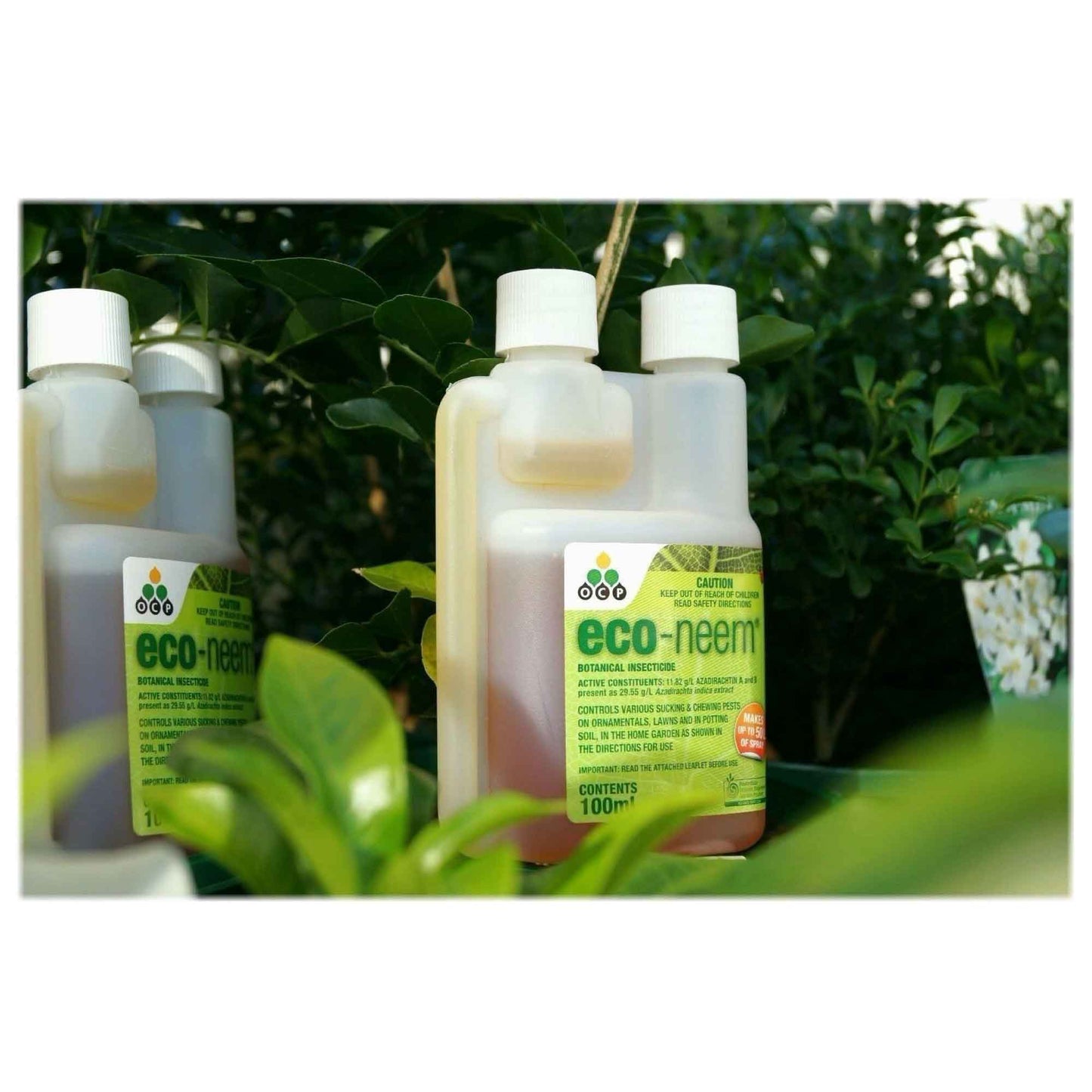 100ml Eco Neem Oil Botanical Organic Insecticide Econeem Sucking Lawn Grubs Pest-3