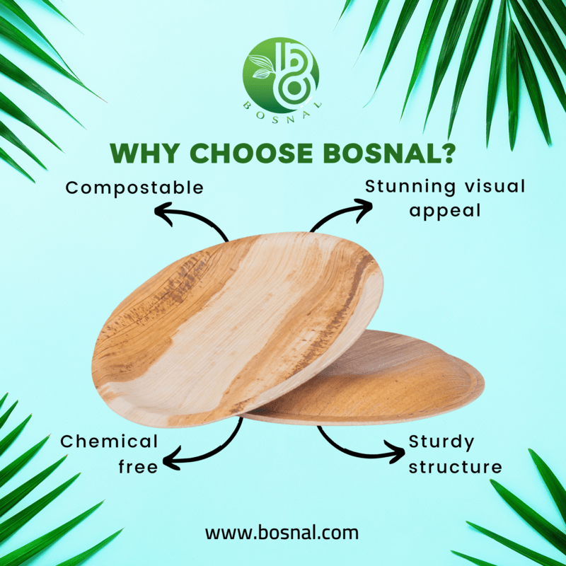 Bosnal - Palm Leaf Biodegradable Plates, 10 inch, Round, 25 Pcs-2