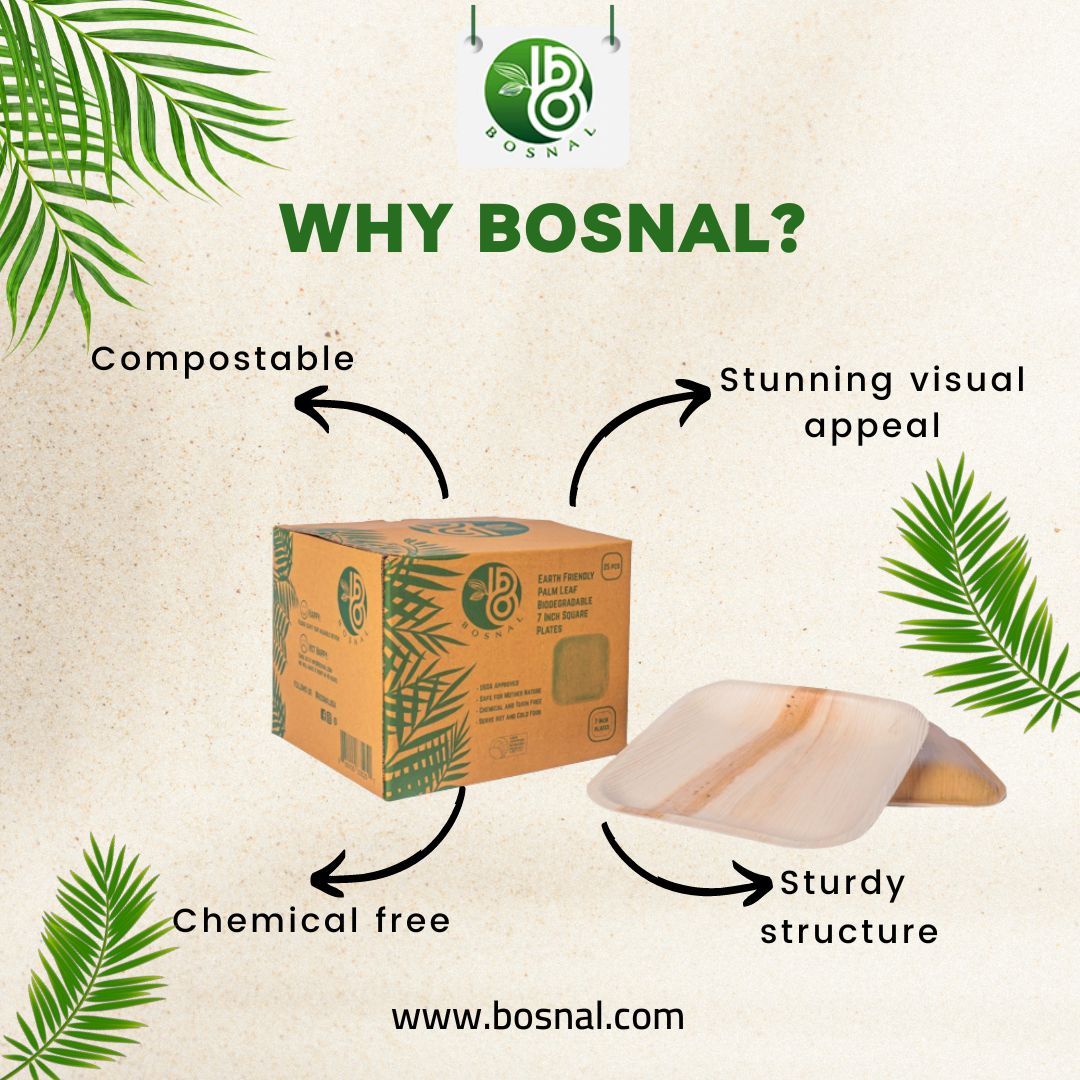 Bosnal - Palm Leaf Biodegradable Plates; 7 inch, Square, 25 Pcs-3