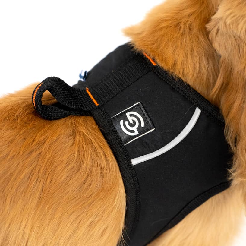 Dog Harness for walking CASU2-4