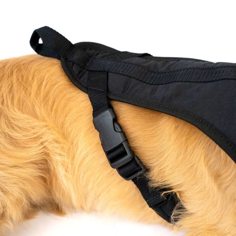 Dog Harness for hiking GOTO2-4