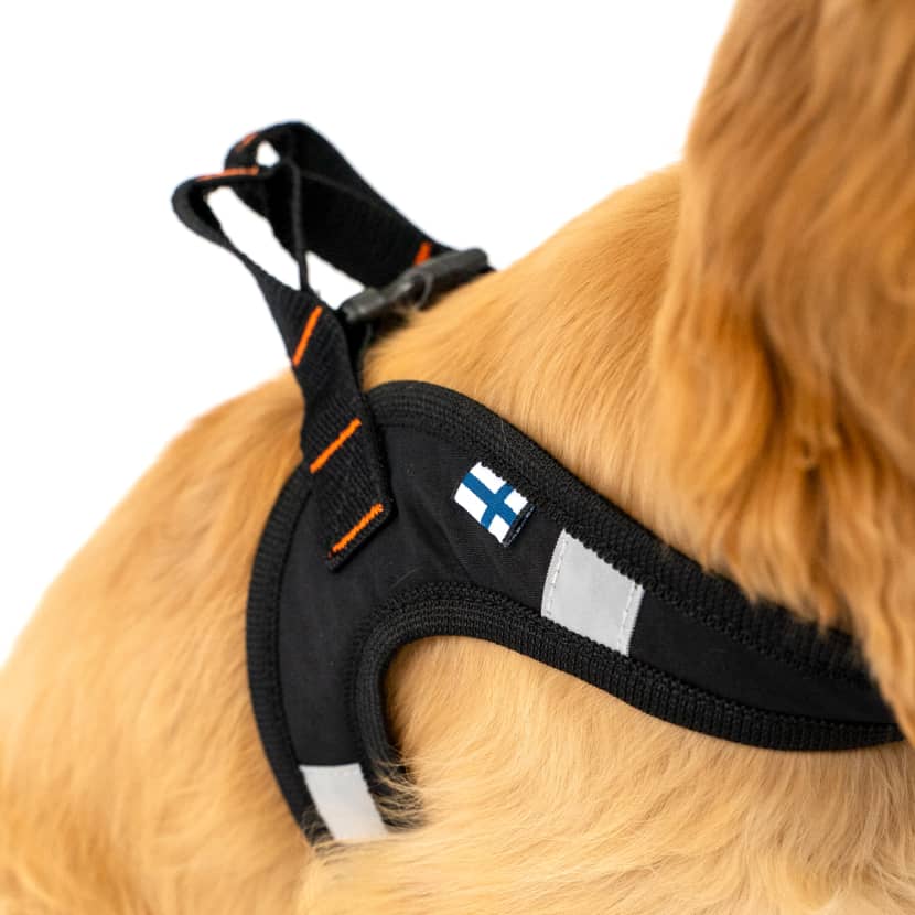 Harness for dogs who hate harnesses CASU1-6