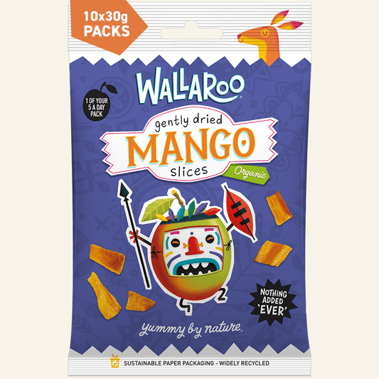 Organic Gently Dried Mango Slices-0
