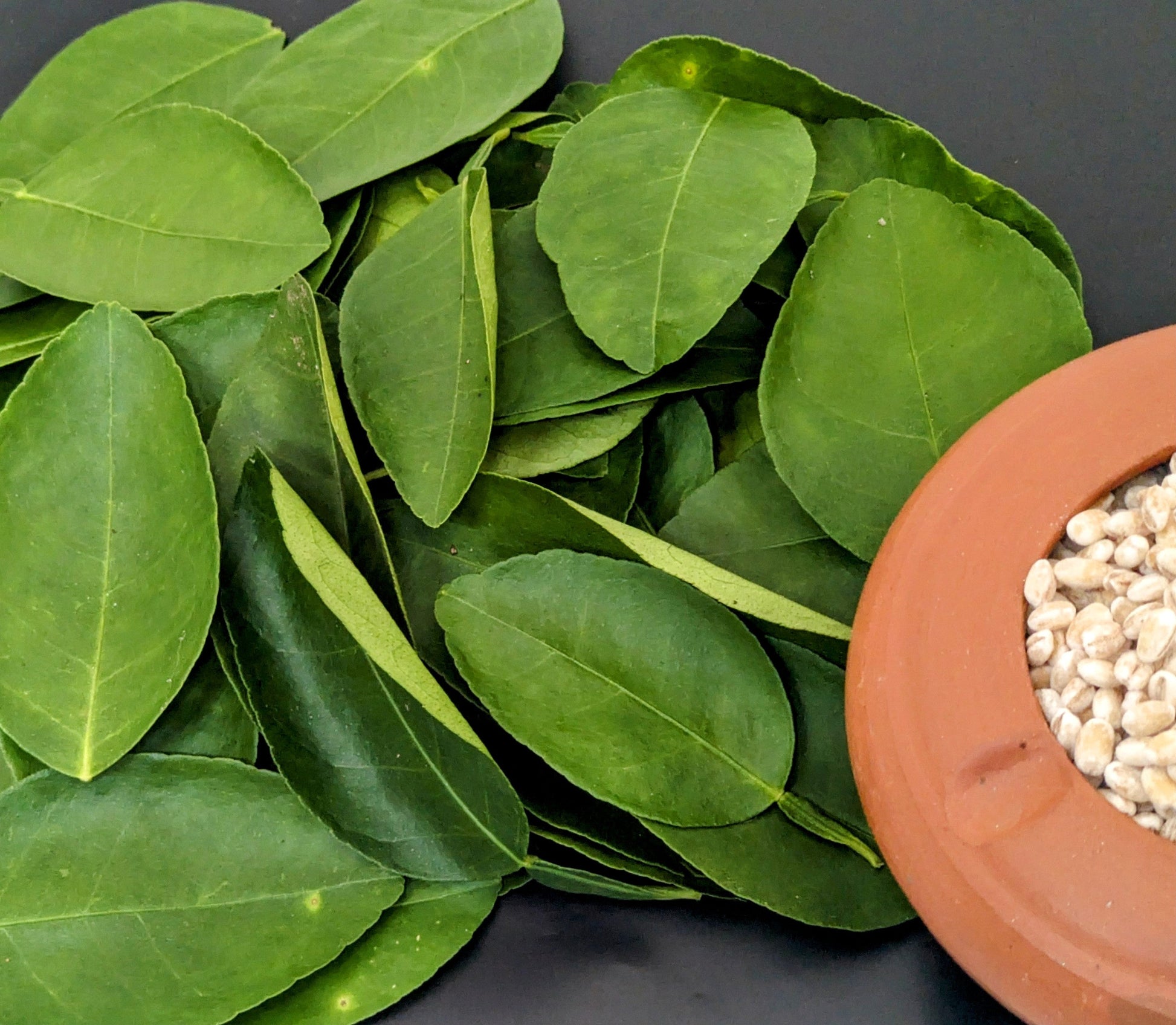 500+ Lime Leaves, Dried Lime Leaves, 100% Organic Lime leaves | Ceylon Organic-4