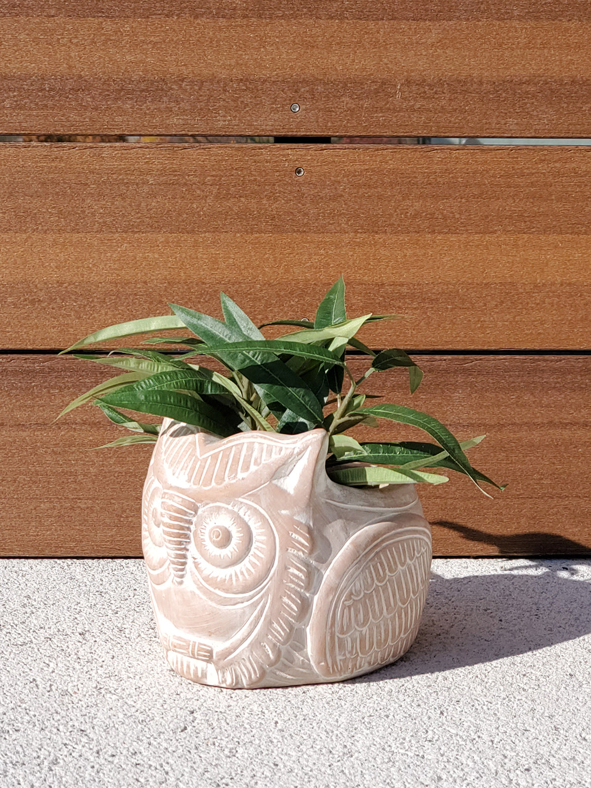 Terracotta Pot - Horned Owl-4