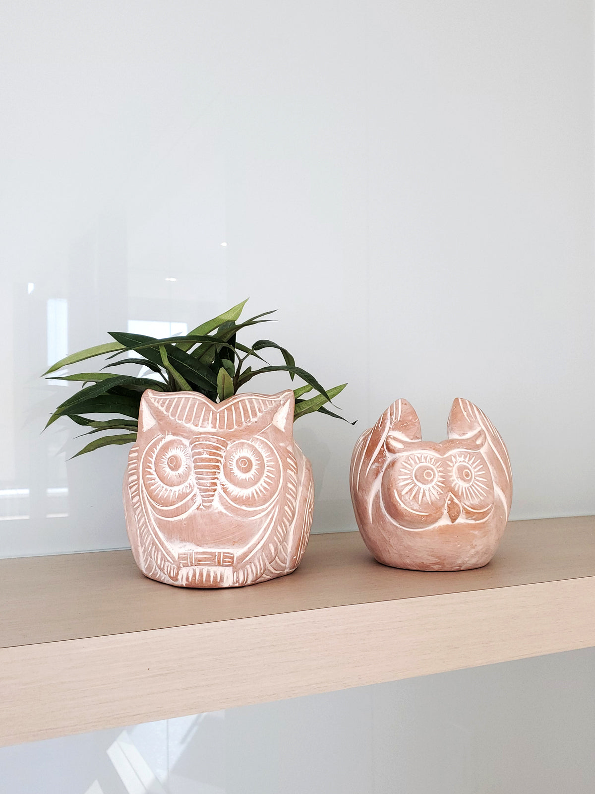 Terracotta Pot - Horned Owl-5