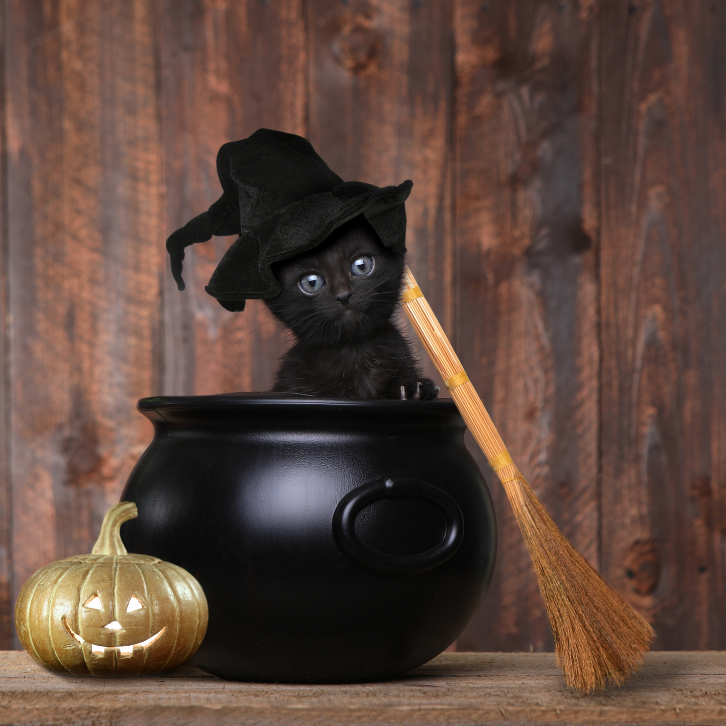 Witchy Pooh's Put A Spell On You Loose Leaf Licorice Peppermint Herbal Tea with Candy Black Cats, Caffeine Free-7