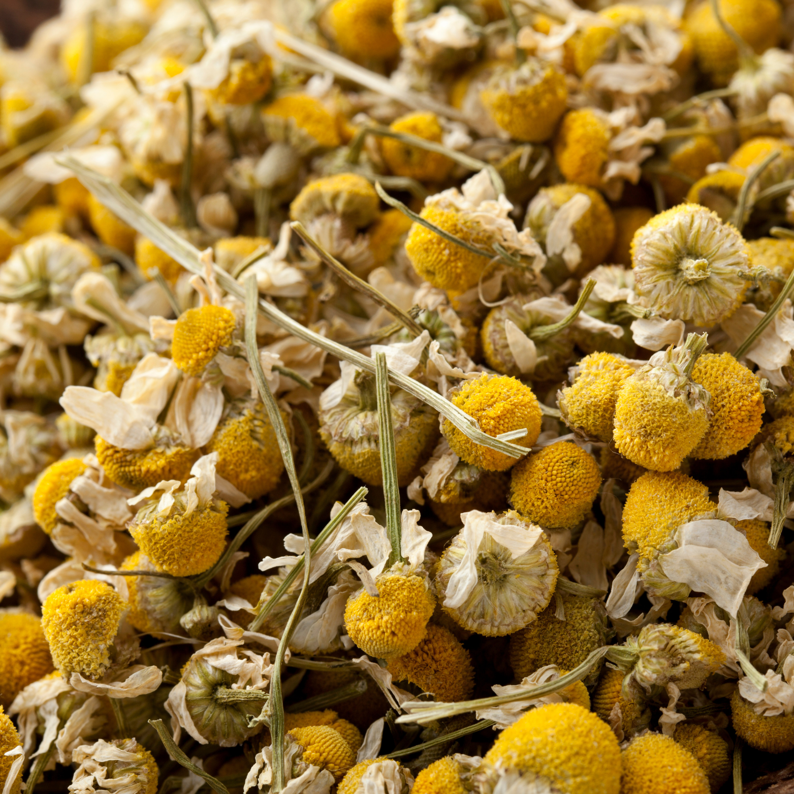Witchy Pooh's Chamomile Flowers Loose Leaf Herbal Tea, Caffeine Free, For Stress Relief and Sleep Aid-1