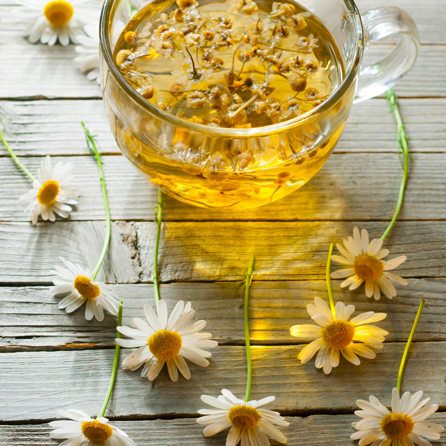 Witchy Pooh's Chamomile Flowers Loose Leaf Herbal Tea, Caffeine Free, For Stress Relief and Sleep Aid-2