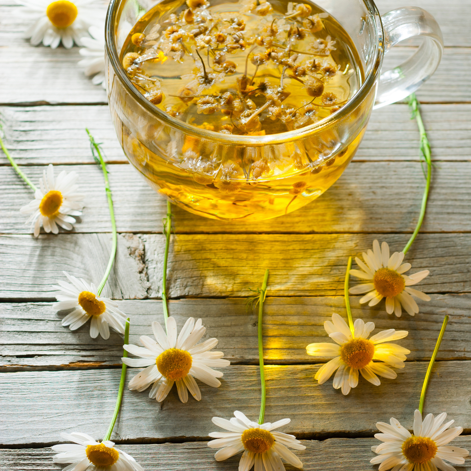 Witchy Pooh's Chamomile Flowers Loose Leaf Herbal Tea, Caffeine Free, For Stress Relief and Sleep Aid-2