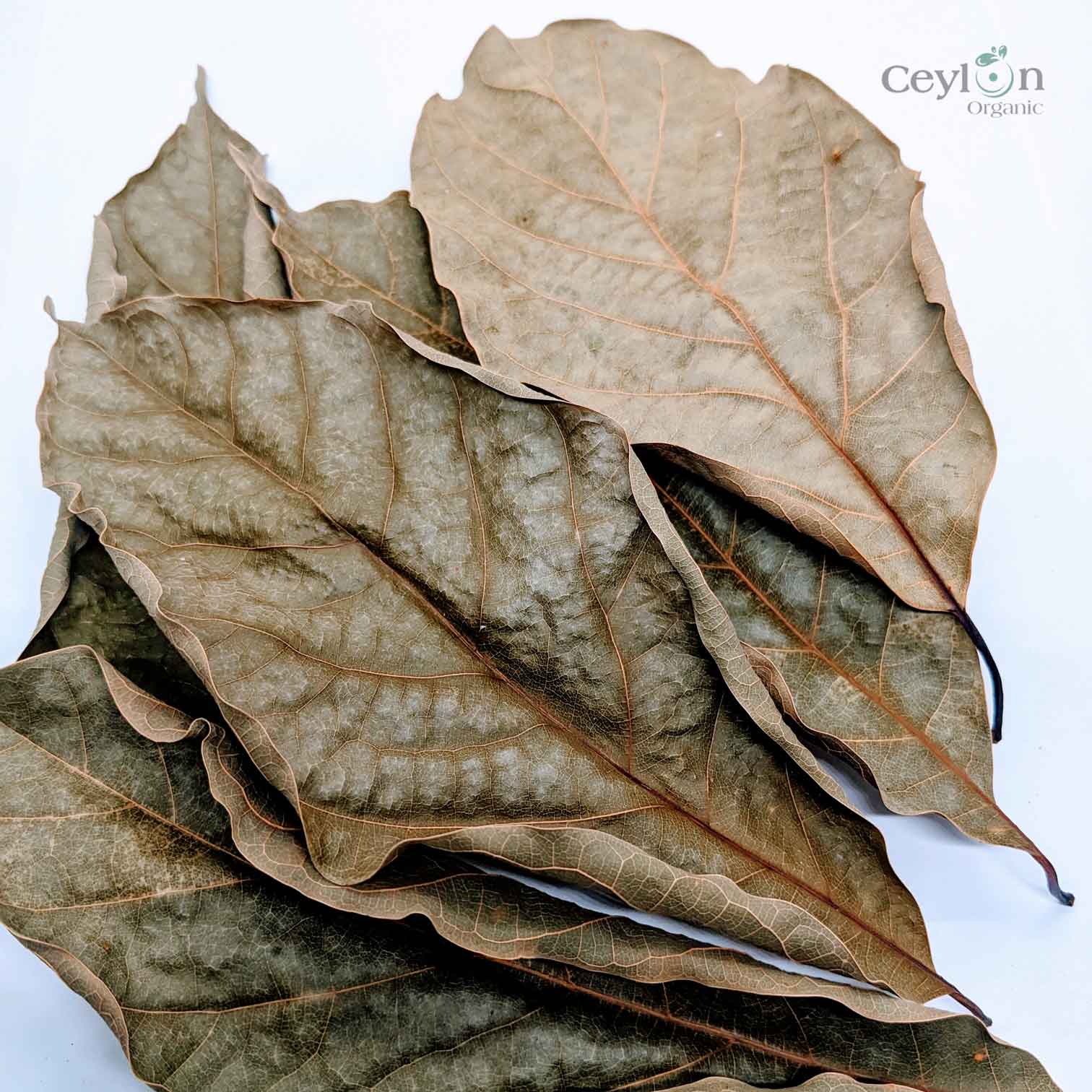 500+ Organic Dried Avocado Leaves | Herbal Tea | Ceylon Organic-2