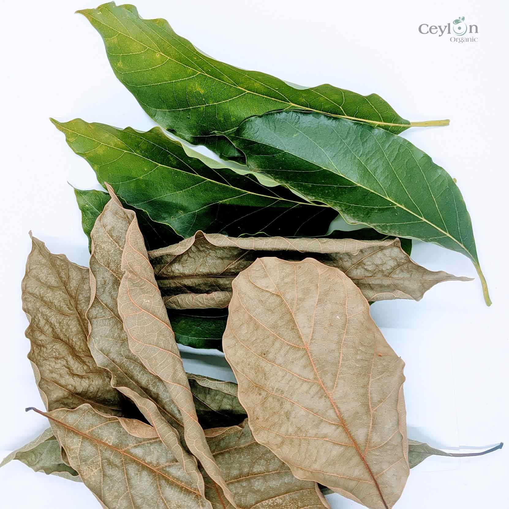500+ Organic Dried Avocado Leaves | Herbal Tea | Ceylon Organic-3