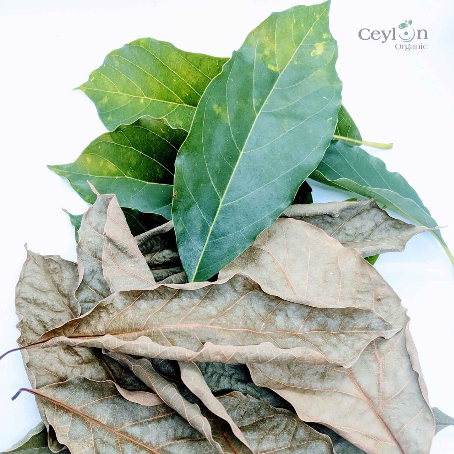 500+ Organic Dried Avocado Leaves | Herbal Tea | Ceylon Organic-6