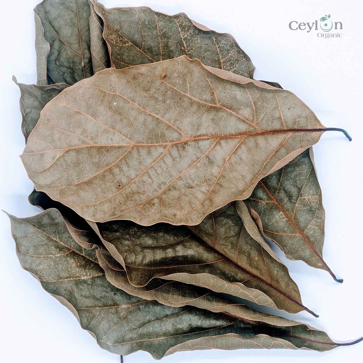 500+ Organic Dried Avocado Leaves | Herbal Tea | Ceylon Organic-4