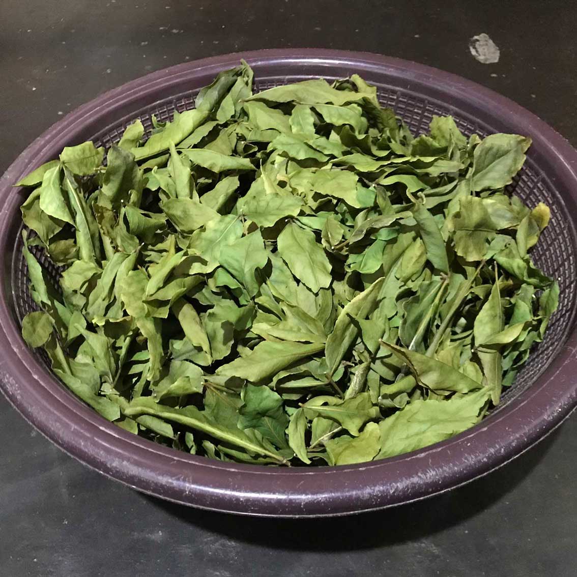 500+ Bael Leaves, Dried Bel Leaves, Dried Bael Leaves, Bilva Leaves |  ceylon organic-3