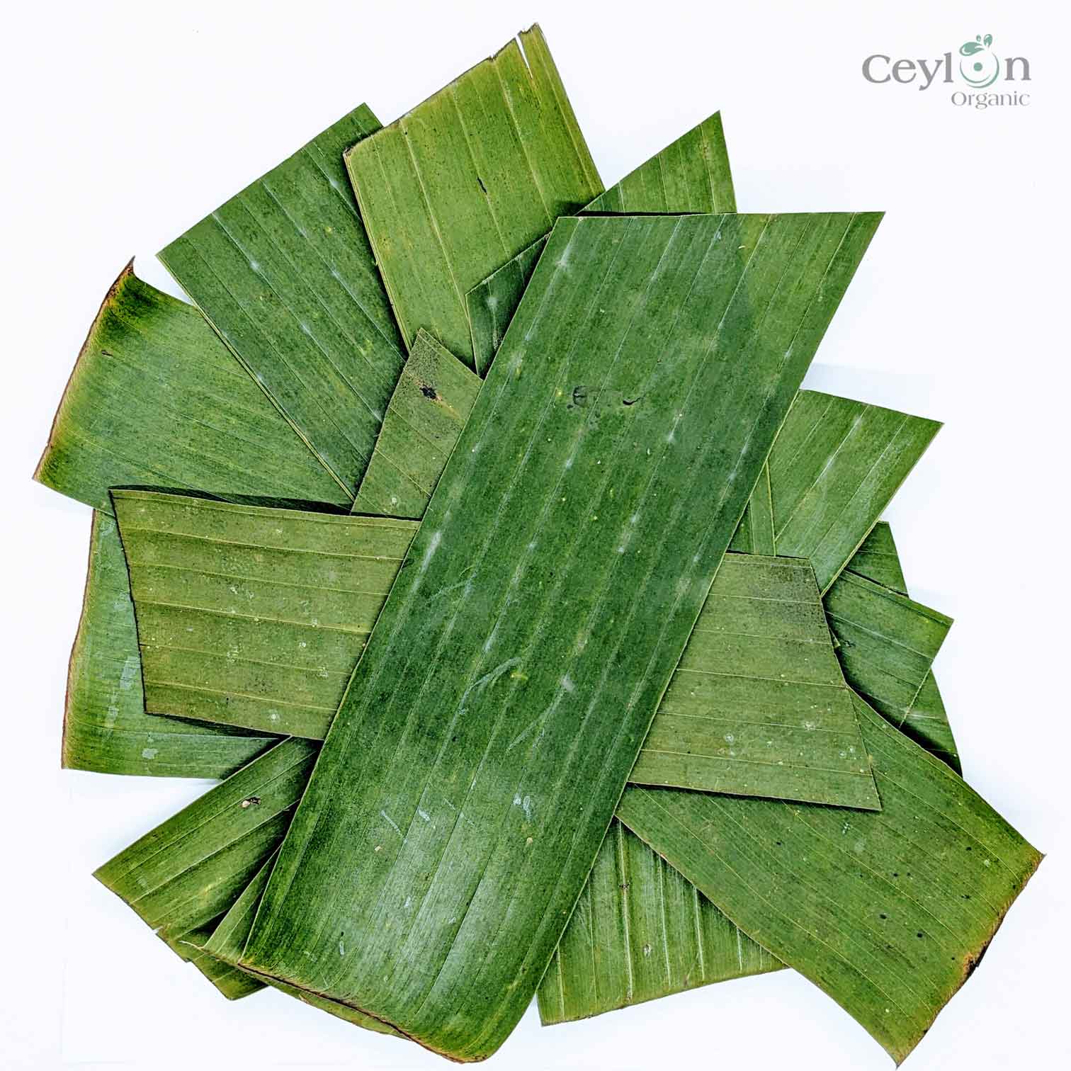 100+ Dried Banana Leaves, Pet Supplies Aquariums,Natural water cleaner | Ceylon Organic-1