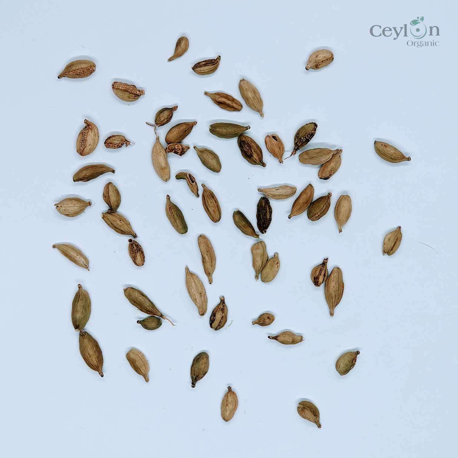 2kg+ Organic Cardamom, Cardamon, Cardamum, Best Quality Ceylon Spices | Ceylon Organic-2