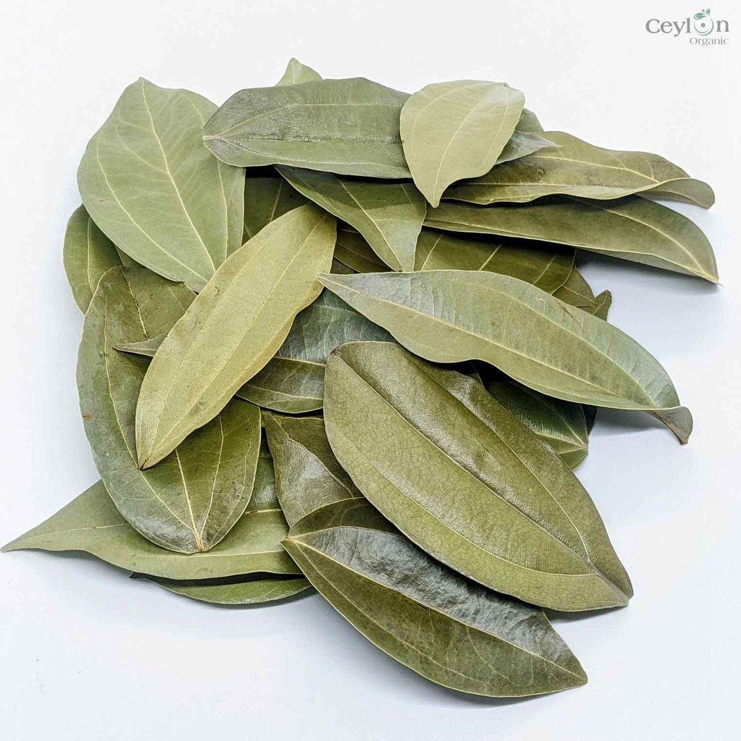 500+ Organic Cinnamon Leaves,Dried Cinnamon Leaves | ceylon organic-3