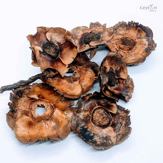 Dried Coconut flowers for your craft projects and aquarium, 100% Naturally dried |  Ceylon Organic-0