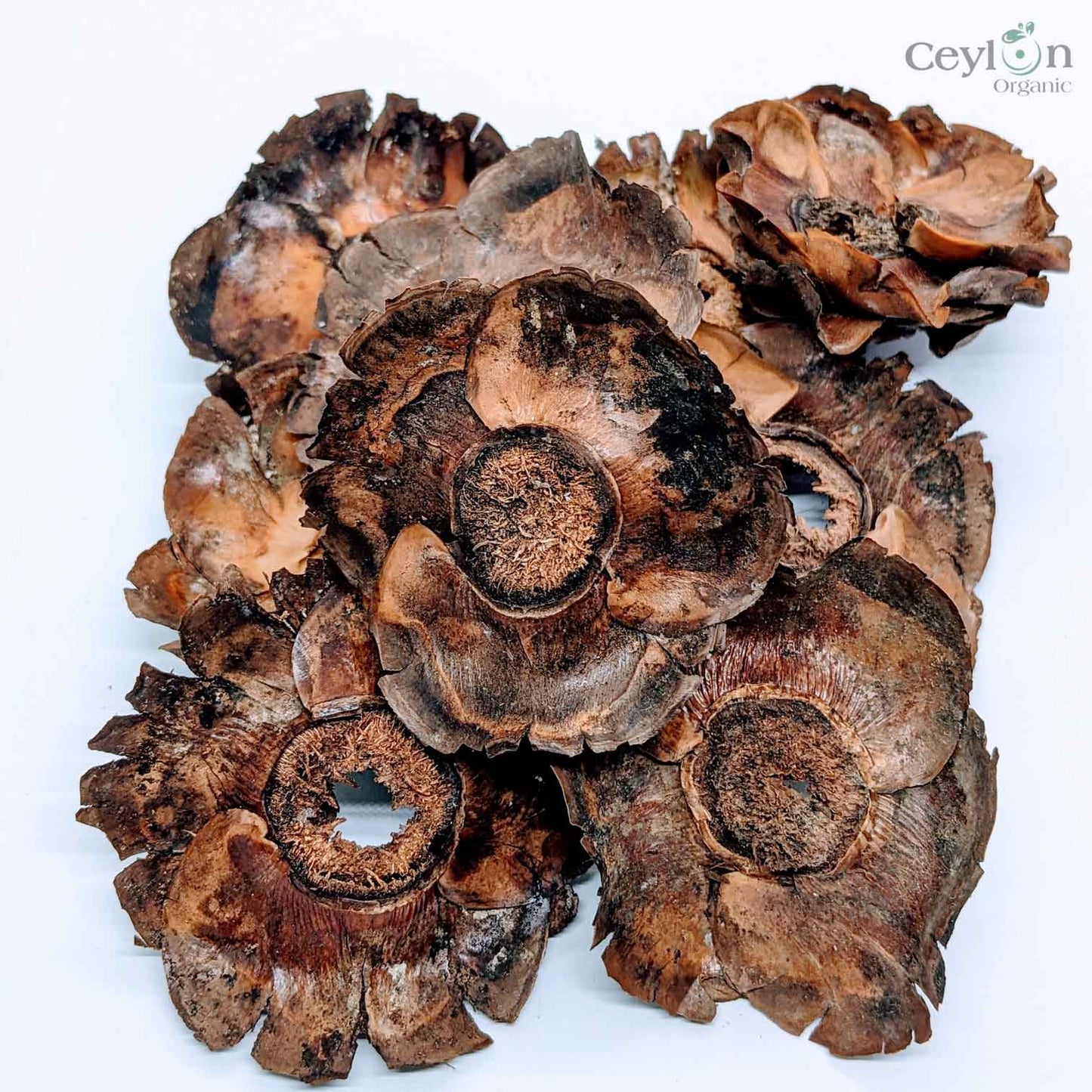 Dried Coconut flowers for your craft projects and aquarium, 100% Naturally dried |  Ceylon Organic-3