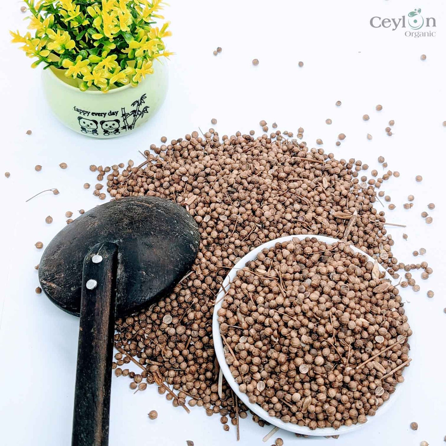 1kg+ Coriander Seeds, Cilantro, Chinese parsley, dhania, Best Quality Spices | Ceylon Organic-4