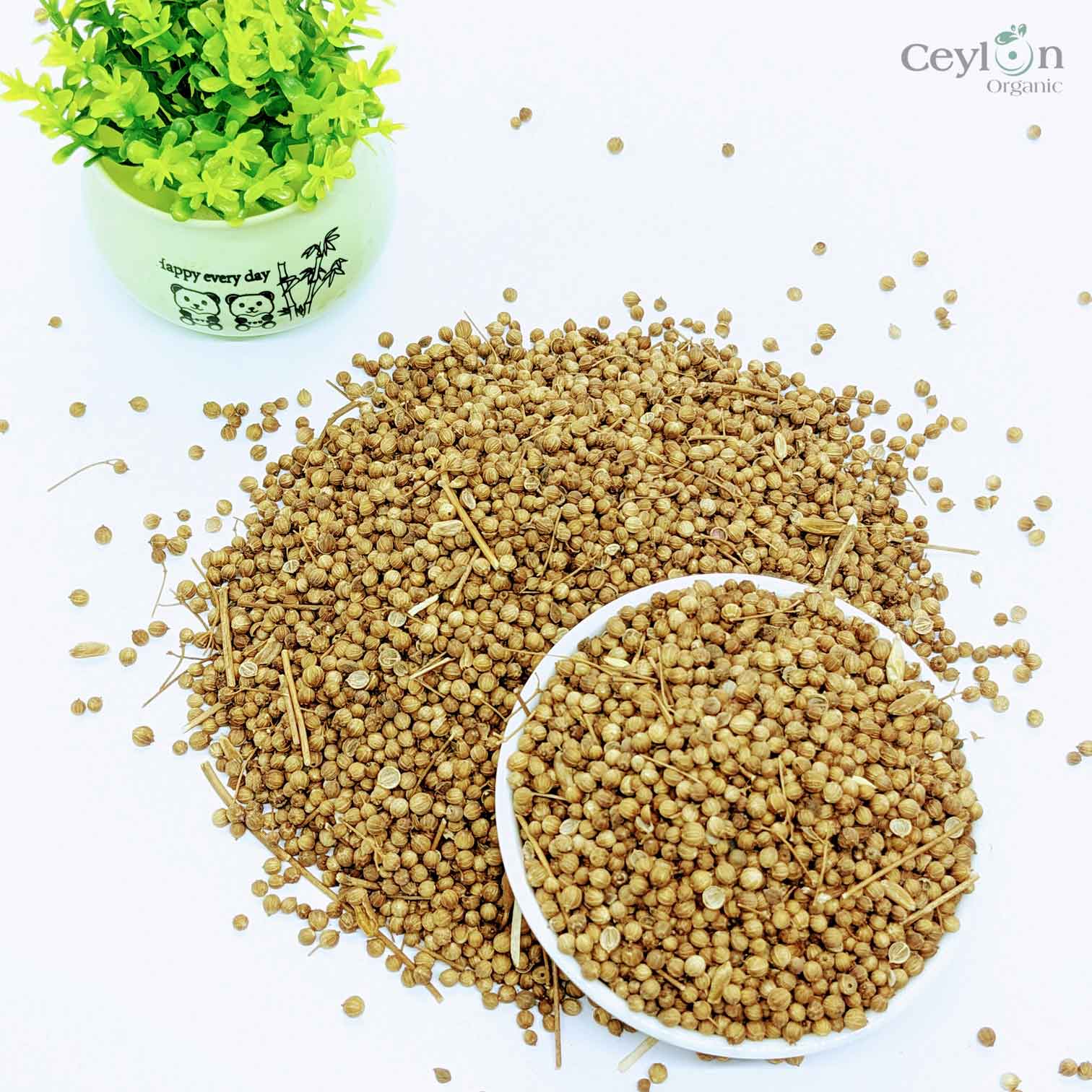 1kg+ Coriander Seeds, Cilantro, Chinese parsley, dhania, Best Quality Spices | Ceylon Organic-5