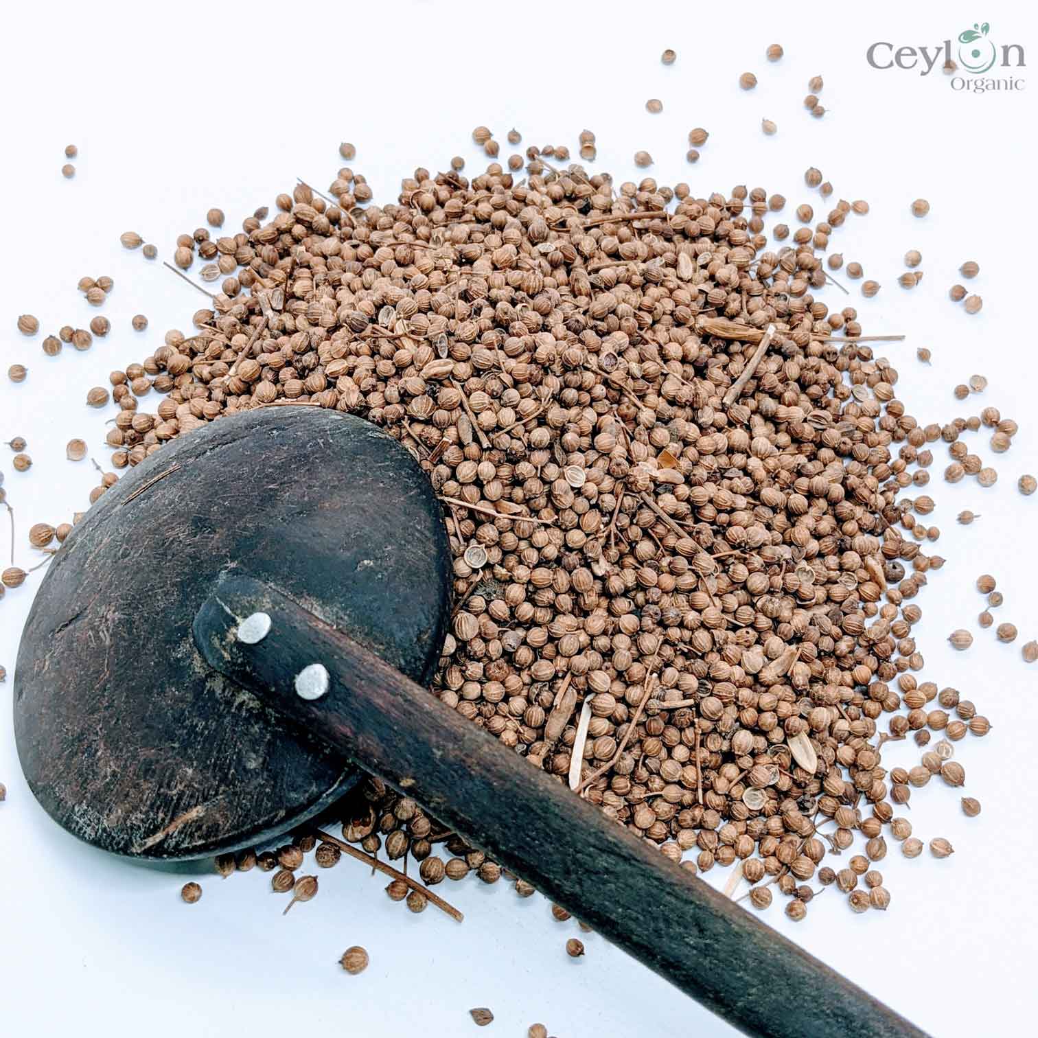 1kg+ Coriander Seeds, Cilantro, Chinese parsley, dhania, Best Quality Spices | Ceylon Organic-6