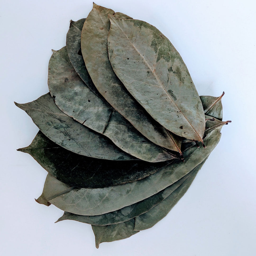 500+ Soursop Leaves, Dried Soursop Leaves Organic, Guanabana, Graviola, Annona Muricata | Ceylon Organic-5
