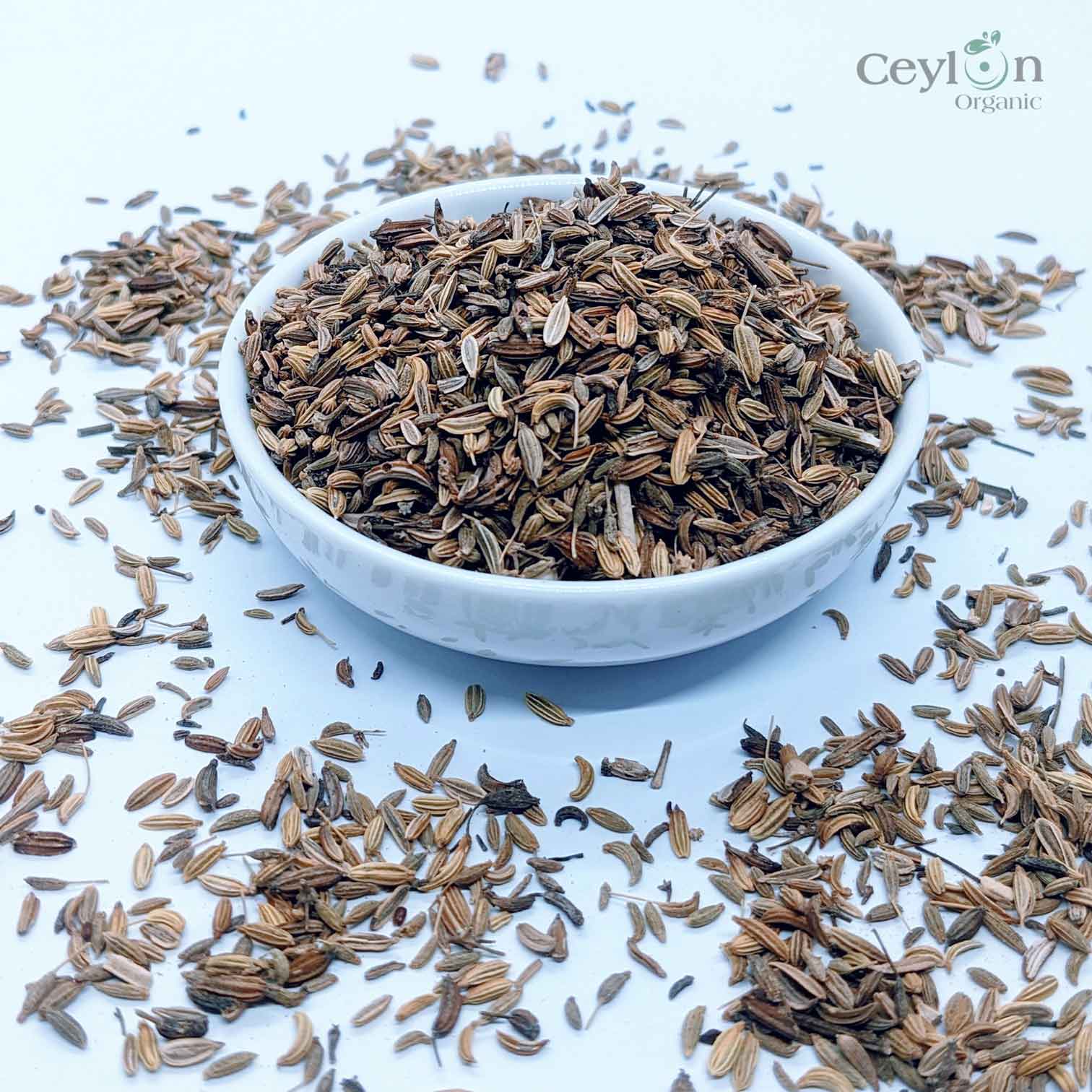 500g+ Fennel Seeds, sweet cumin, large cumin, Best quality ceylon spices | Ceylon Organic-1