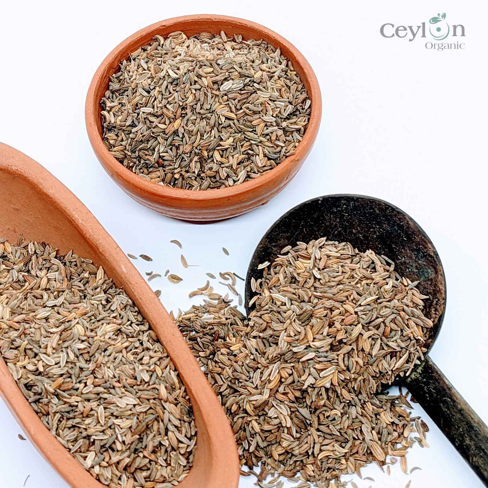 500g+ Fennel Seeds, sweet cumin, large cumin, Best quality ceylon spices | Ceylon Organic-2