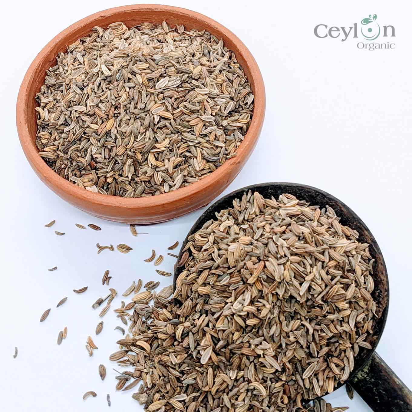 500g+ Fennel Seeds, sweet cumin, large cumin, Best quality ceylon spices | Ceylon Organic-3
