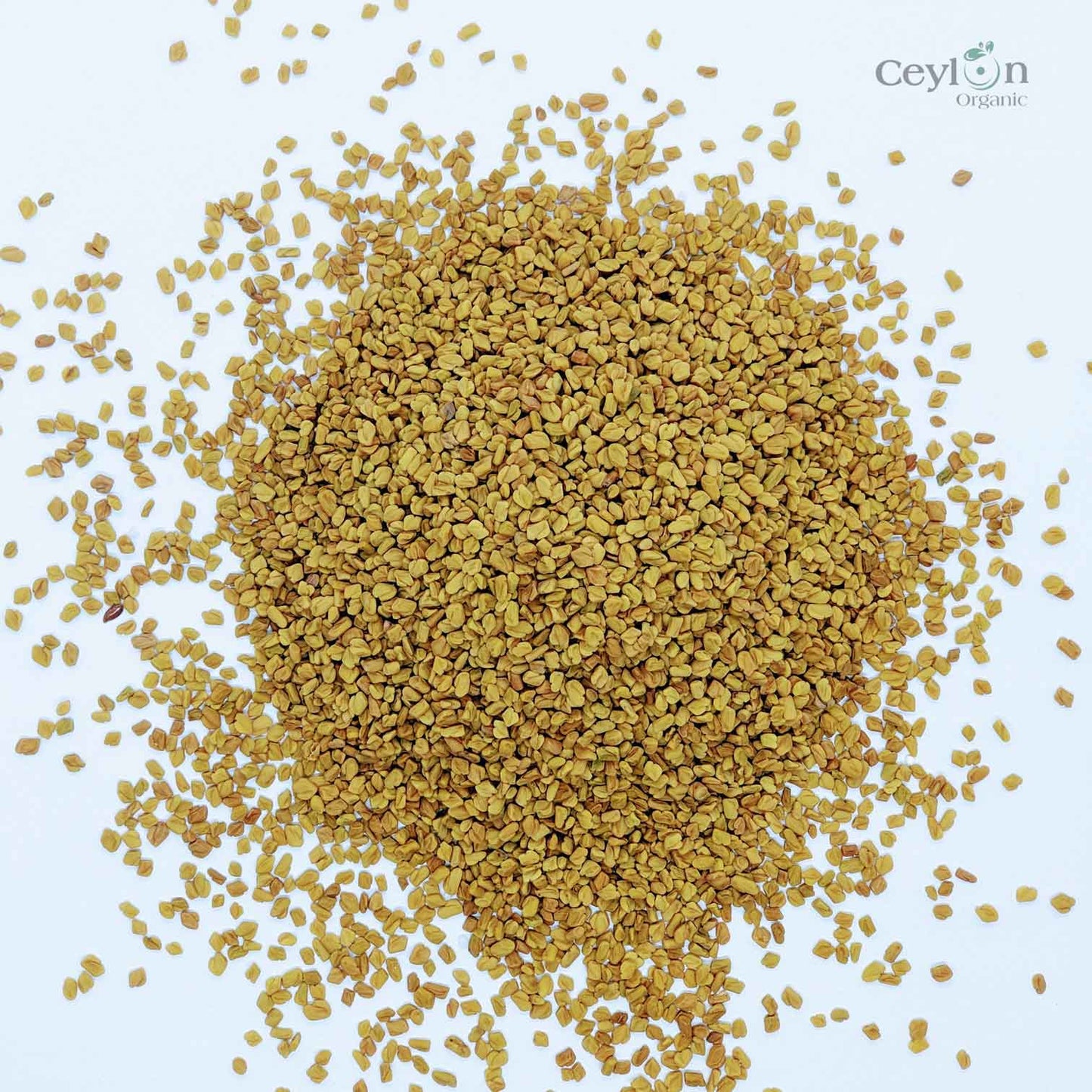 1kg+ Fenugreek Seeds Non-GMO Trigonella Foenum Graecum Whole Methi Seed Bulk | Ceylon organic-7
