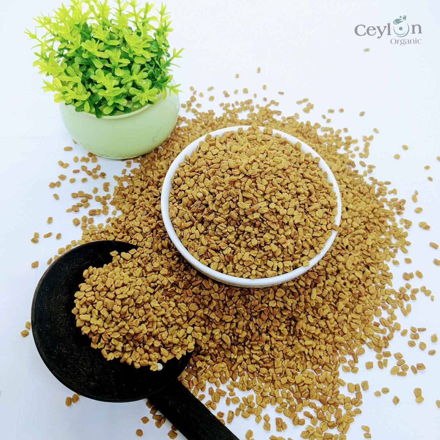 1kg+ Fenugreek Seeds Non-GMO Trigonella Foenum Graecum Whole Methi Seed Bulk | Ceylon organic-1