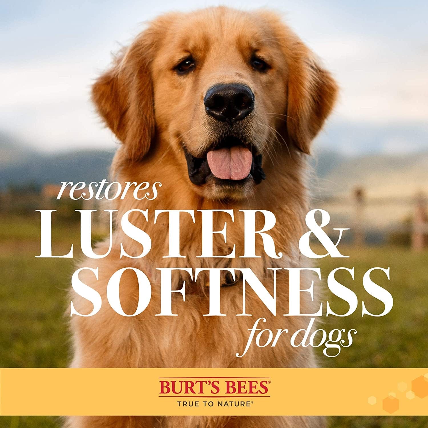 🐶 Burt's Eco-Friends Double-Sided Dog Brush 🌿-7