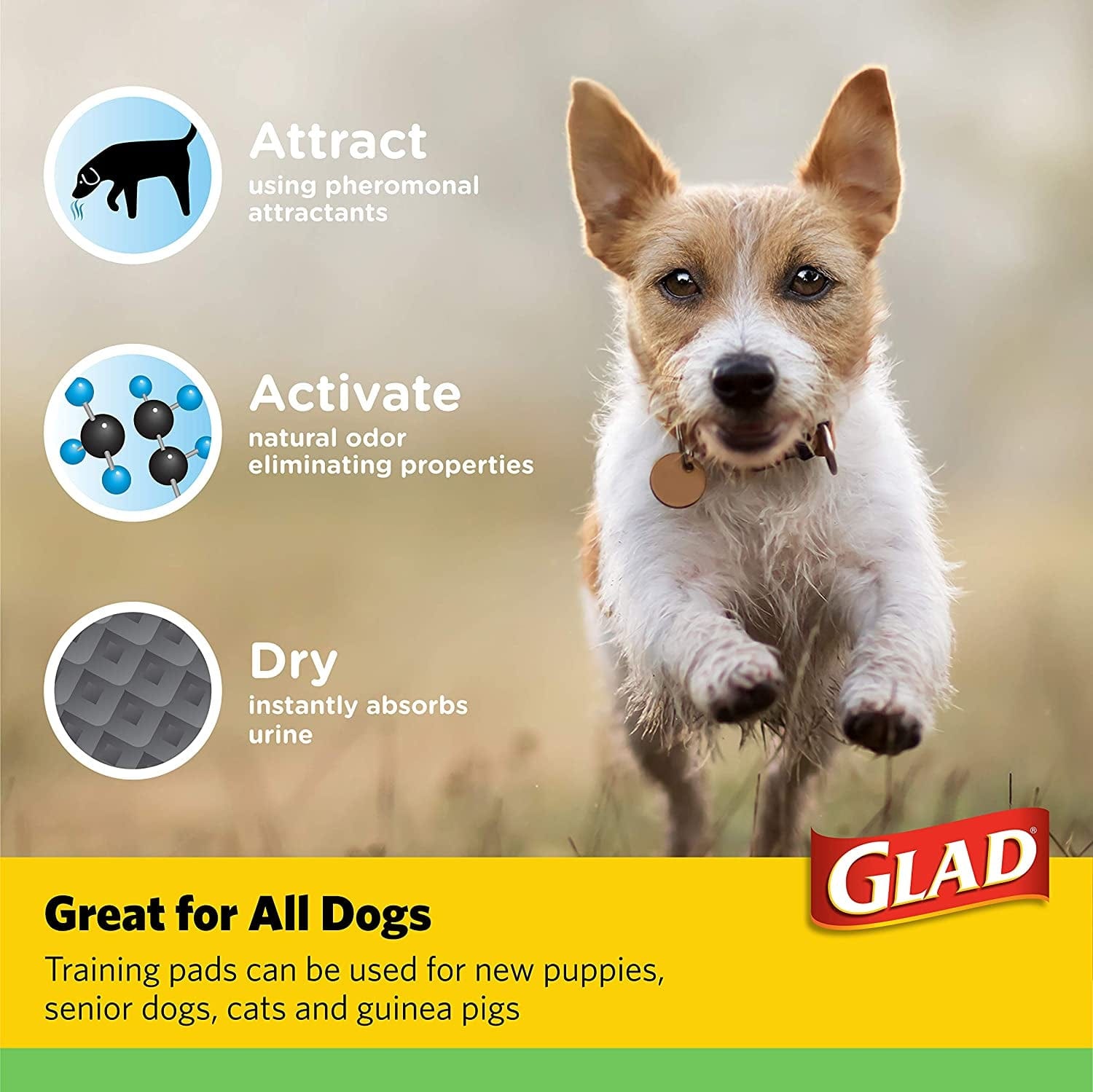 🐶 Glad Eco-Friendly Absorbent Dog Training Pads 🌍-5