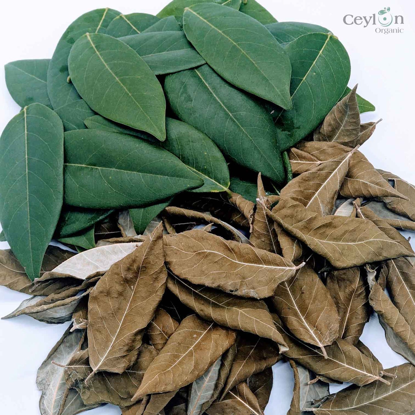 1kg+ Dried Gliricidia Sepium Leaves , Organic Compost Natural Manure For Plants-1