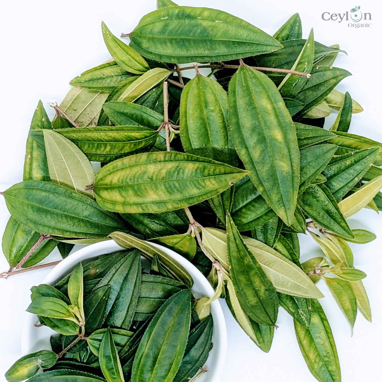 3kg+ Organic liver plant leaves Heen bovitiya(Osbeckia octandra) | Ceylon organic-1