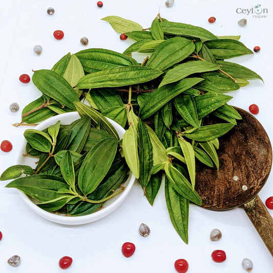 3kg+ Organic liver plant leaves Heen bovitiya(Osbeckia octandra) | Ceylon organic-0