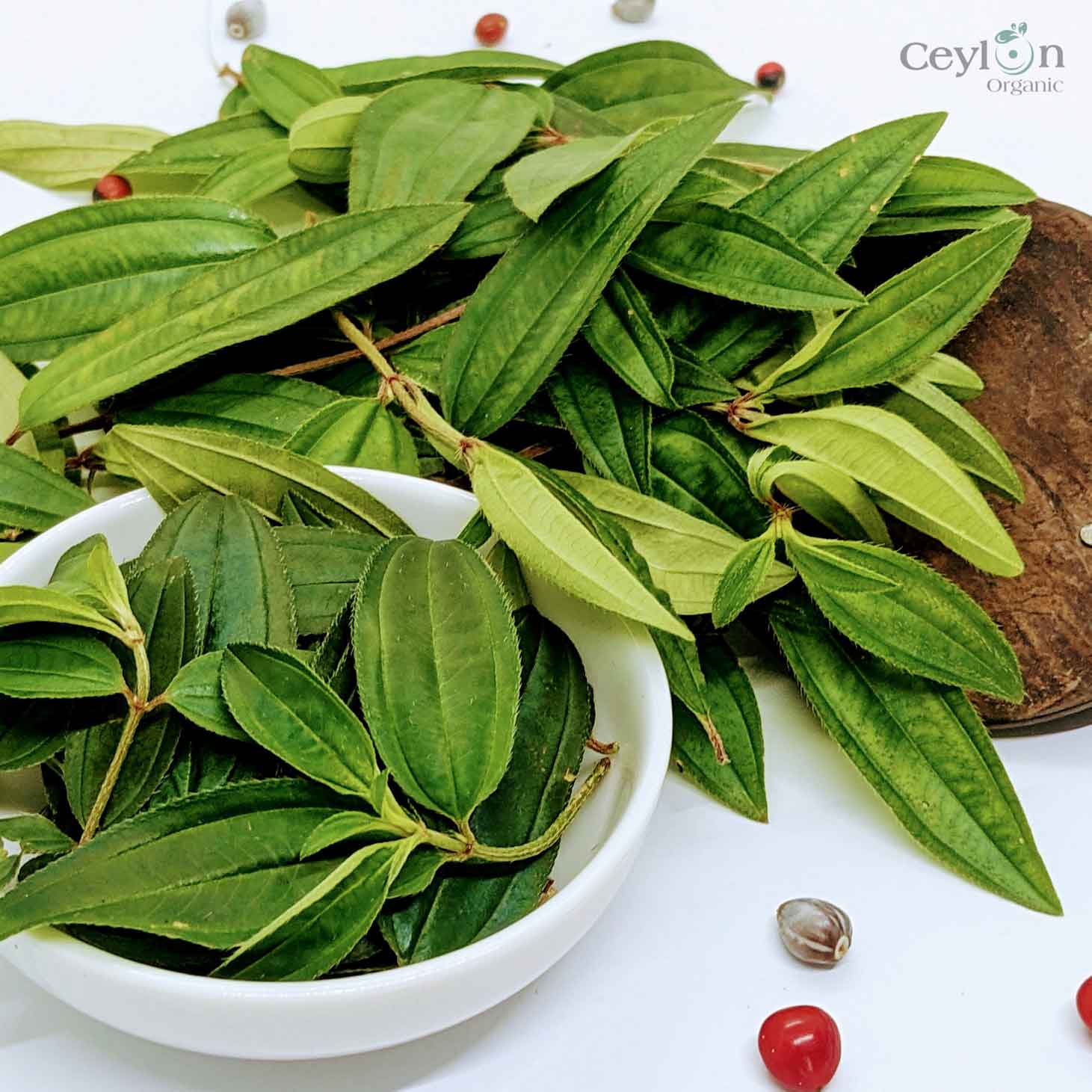 3kg+ Organic liver plant leaves Heen bovitiya(Osbeckia octandra) | Ceylon organic-4