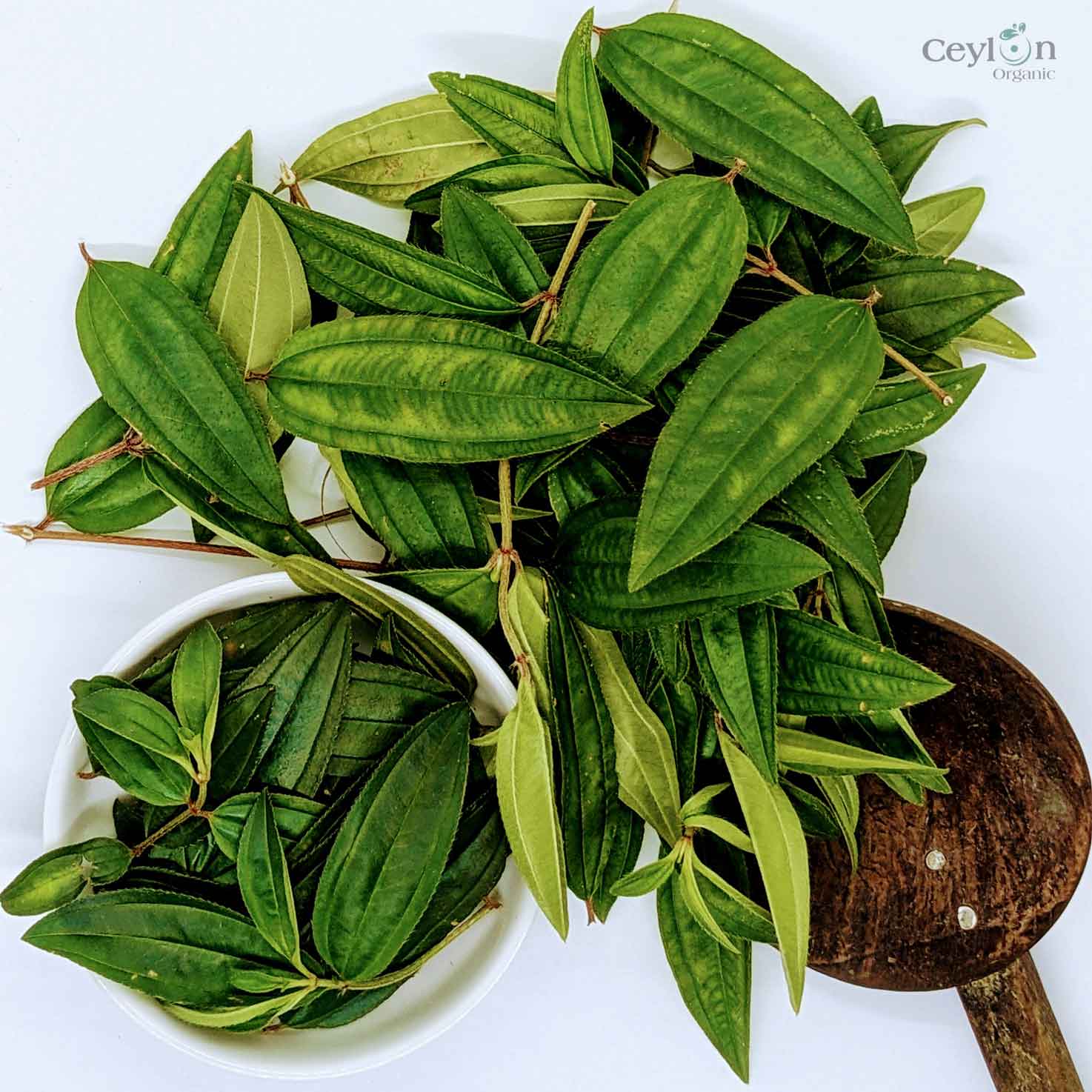 3kg+ Organic liver plant leaves Heen bovitiya(Osbeckia octandra) | Ceylon organic-3