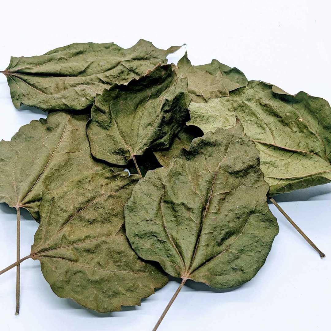 500+ Dried Hibiscus Leaves - Caffeine-Free Herbal Tea, Natural Antioxidant Boost | Ceylon Organic-2
