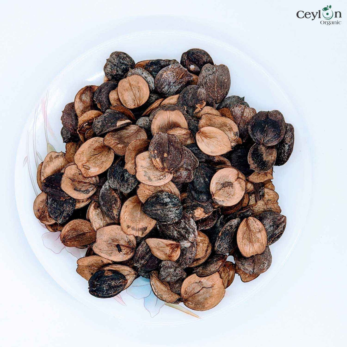 50+ Dried Night Jasmine Seeds, Nyctanthes Arbor-tristis, Night Jasmine, Coral Jasmine | Ceylon Organic-1