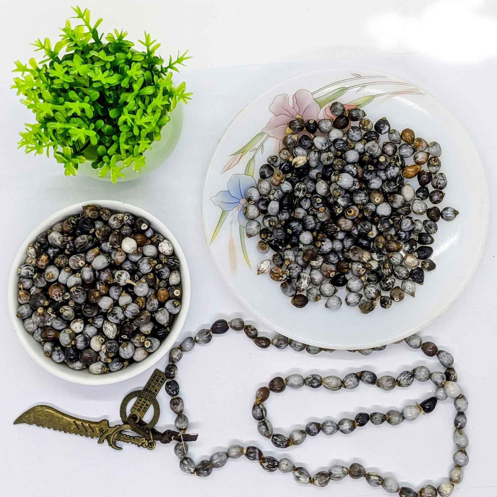 Job's tear beads 100% natural adlay millet Coix lacryma jobi Corn beads | Ceylon Organic-6