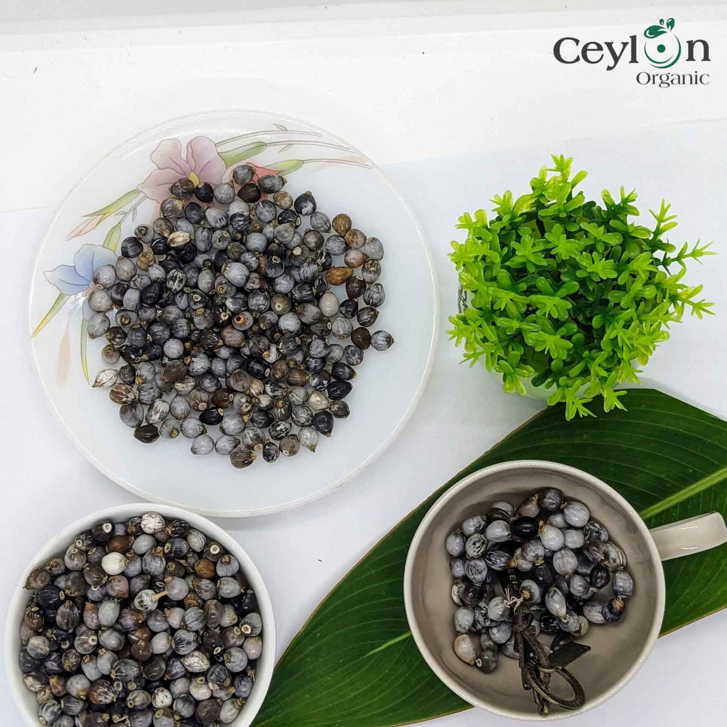 Job's tear beads 100% natural adlay millet Coix lacryma jobi Corn beads | Ceylon Organic-2
