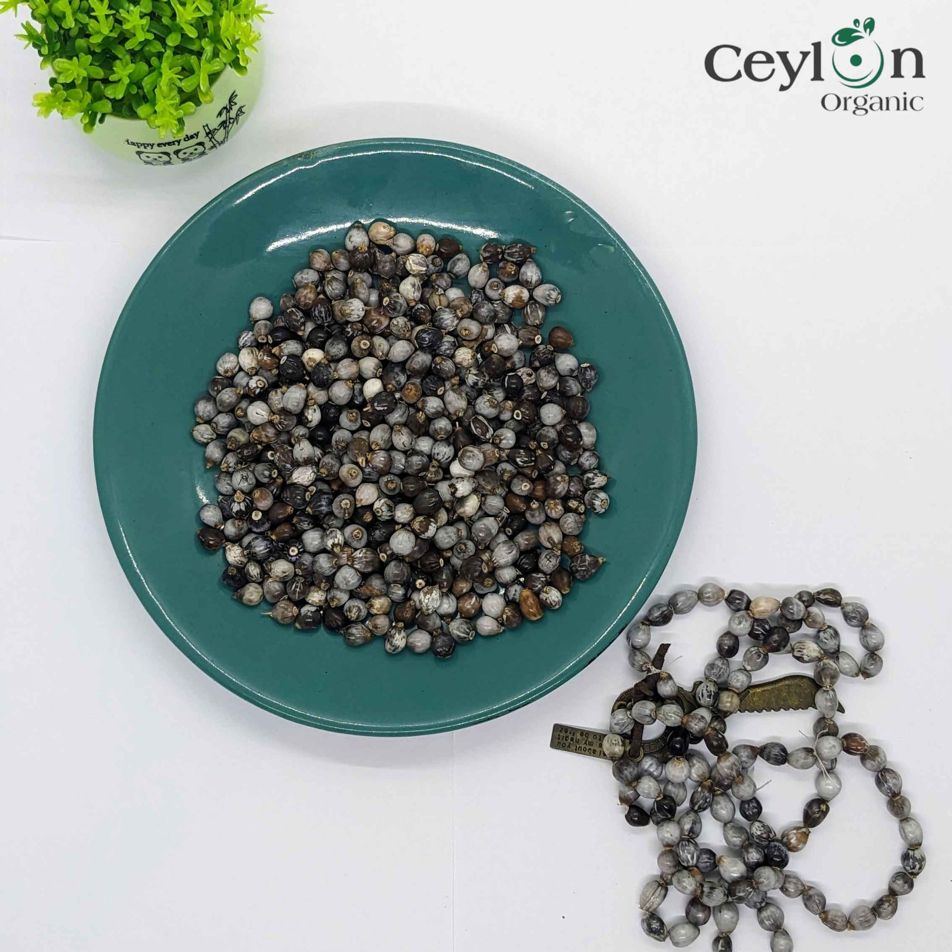 Job's tear beads 100% natural adlay millet Coix lacryma jobi Corn beads | Ceylon Organic-4