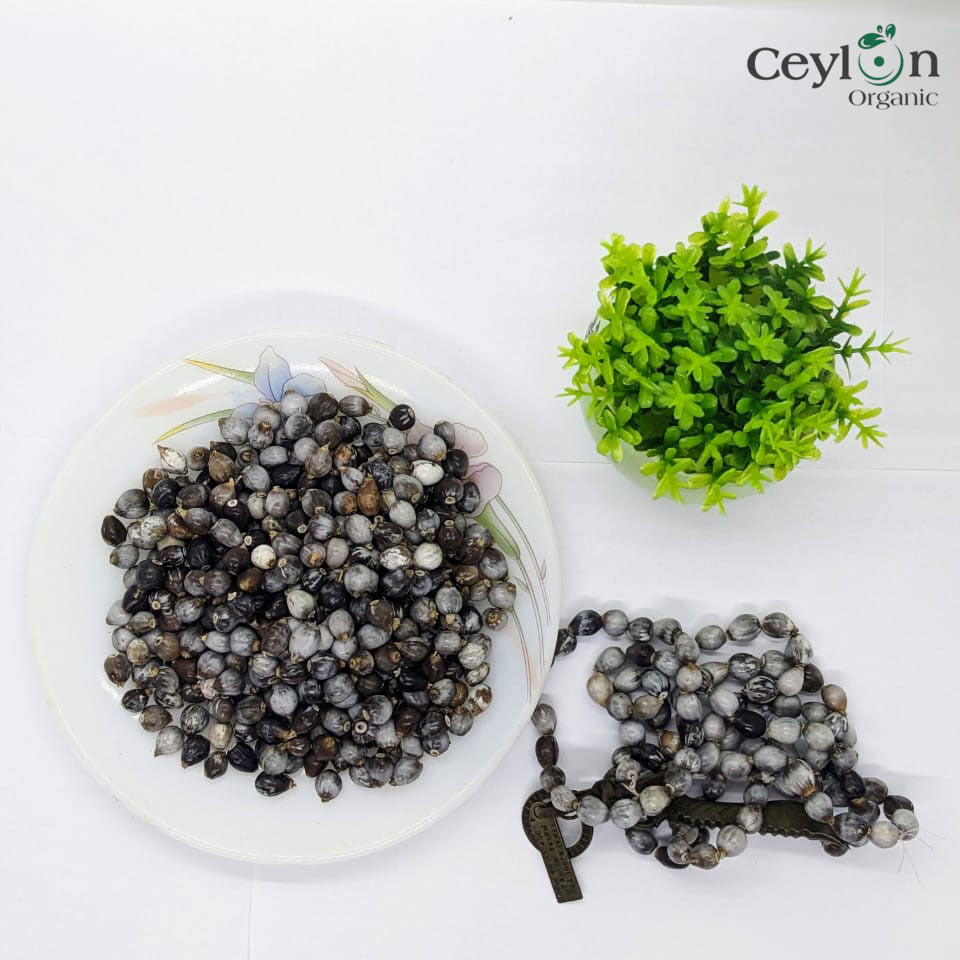 Job's tear beads 100% natural adlay millet Coix lacryma jobi Corn beads | Ceylon Organic-3