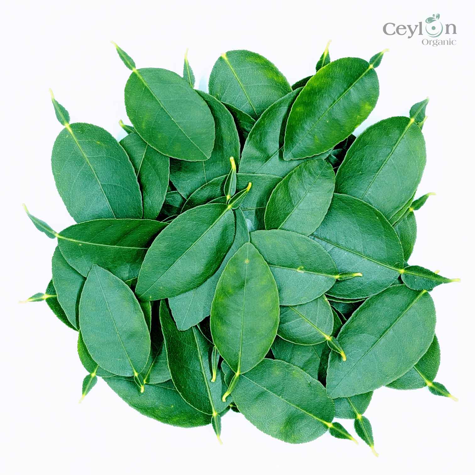 500+ Lime Leaves, Dried Lime Leaves, 100% Organic Lime leaves | Ceylon Organic-1