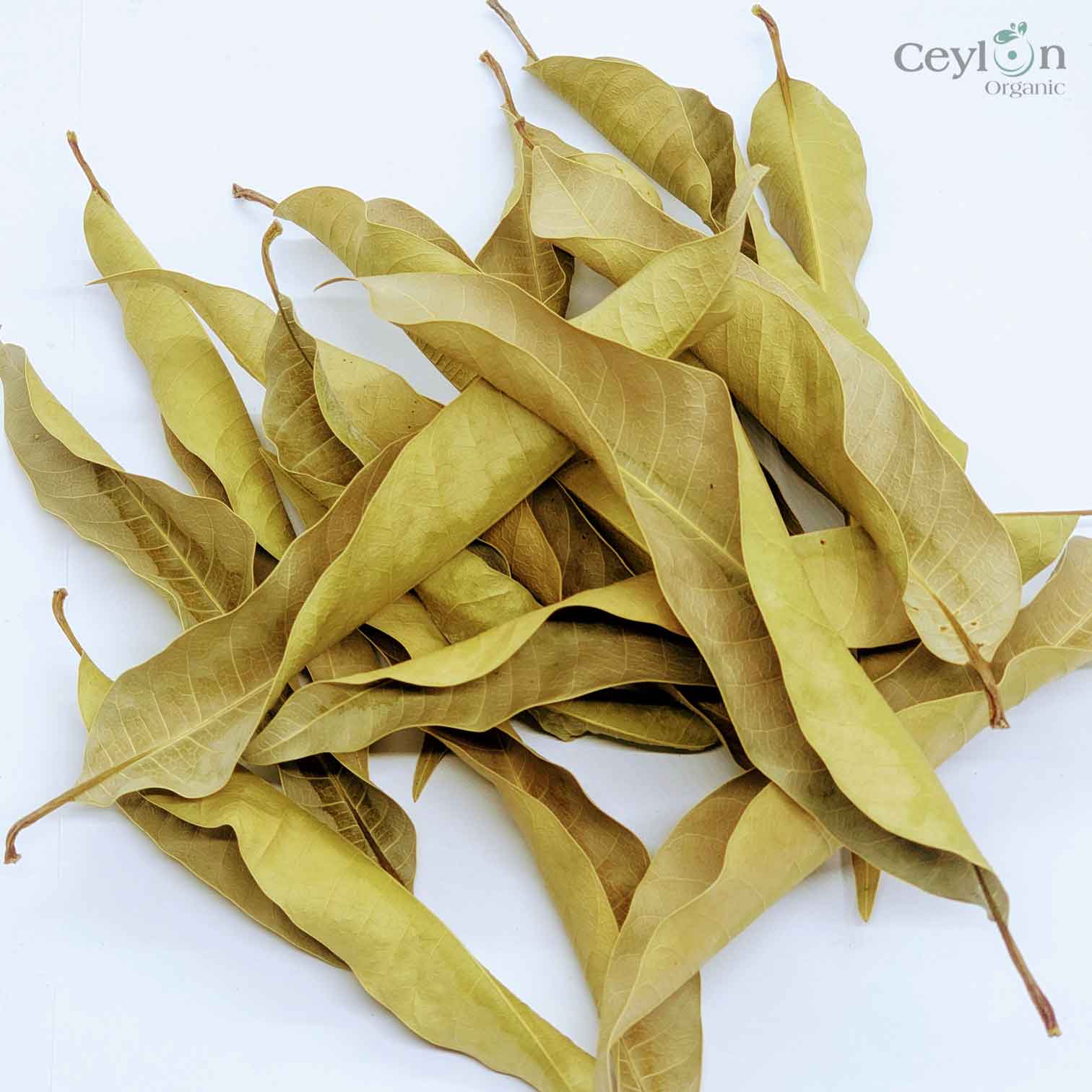 500+ Mango Leaves,Dried Mango Leaves, 100% Organic Dried Mango Leaves | Ceylon organic-4