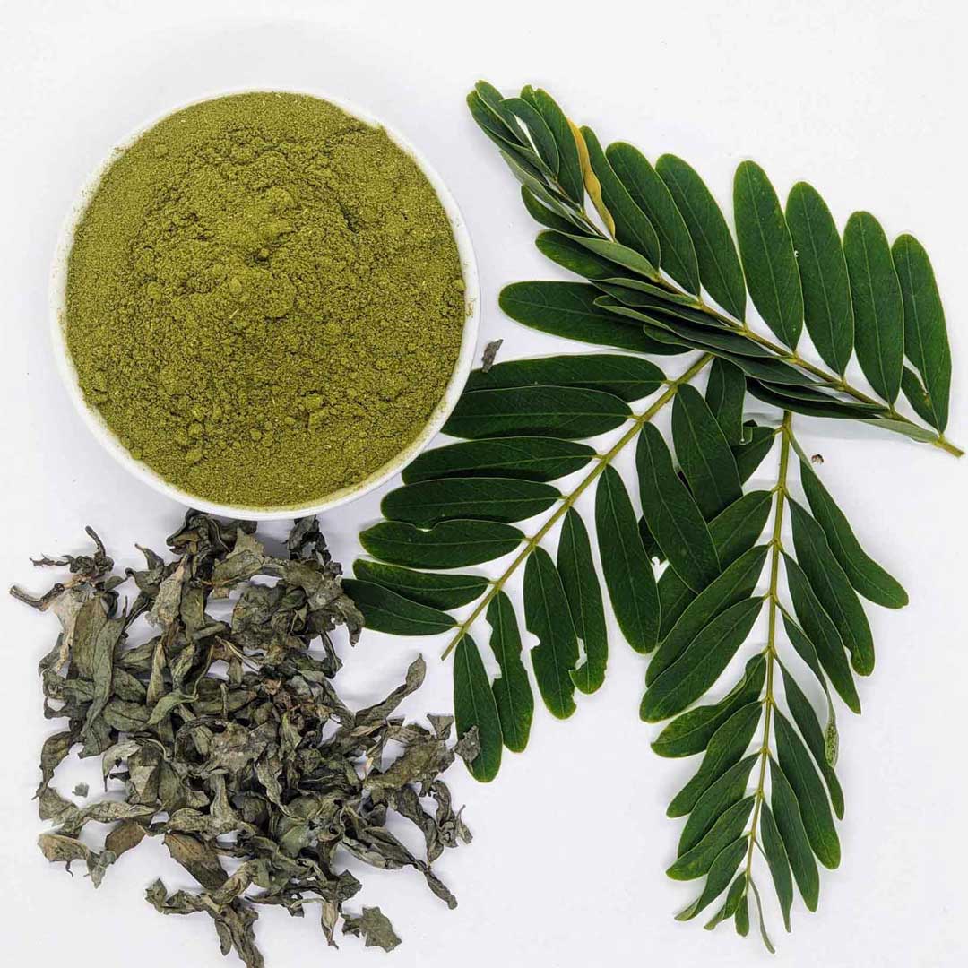 5kg+ Dried Moringa Oleifera Leaf/Leaves powder, 100% Organic natural Dried Leaves Powder | Ceylon Organic-2