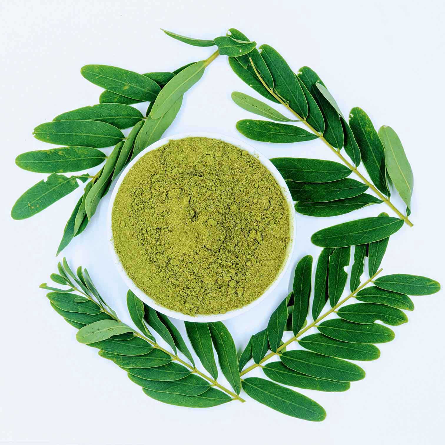 5kg+ Dried Moringa Oleifera Leaf/Leaves powder, 100% Organic natural Dried Leaves Powder | Ceylon Organic-3
